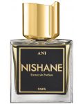 Nishane No Boundaries Extract de parfum Ani, 50 ml - 1t