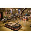 Night at the Museum (Blu-ray) - 10t