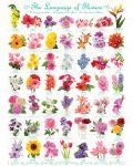 Puzzle Eurographics de 1000 piese – Limbajul florilor - 2t