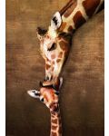 Puzzle Eurographics de 1000 piese - Sarutul girafei mama - 2t