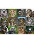  Puzzle New York Puzzle de 1000 piese - Owls and Owlets - 2t
