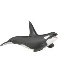 Figurina Papo Marine Life – Balena ucigasa - 1t
