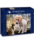 Puzzle Bluebird de 500 piese - Kitten and Puppy - 1t