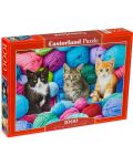 Castorland 1000 piese puzzle - Pisicuțe în fire - 1t