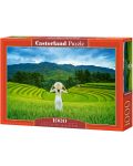 Puzzle Castorland din 1000 de piese - Câmpuri de orez în Vietnam - 1t