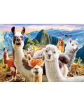 Castorland 1000 piese puzzle - Llama Selfie - 2t