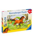 Puzzle Ravensburger din 2 x 24 piese - Cai - 1t
