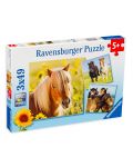 Puzzle Ravensburger de 3 x 49 piese - Cai frumosi - 1t