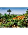 Puzzle Ravensburger  din 1000 de piese  - Grădina Botanică din Madeira - 2t