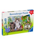 Puzzle Ravensburger din 3 de cate 49 piese - Pisicute - 1t