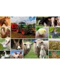 Grafika Puzzle de 1500 de piese - Animale agricole - 2t