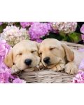 Puzzle Ravensburger de 300 piese- Sweet Dogs in a Basket - 2t