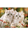 Puzzle Castorland de 200 piese - Persian Kittens - 2t