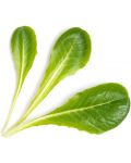 Umplutură sol Veritable - Lingot, Salată, fără OMG - 2t