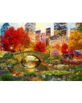 Puzzle Bluebird de 1000 piese -Central Park NYC - 2t