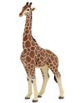 Figurina Papo Wild Animal Kingdom – Girafa mascul - 1t