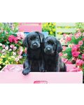 Puzzle Eurographics de 500 XXL piese - Black Labs in Pink Box - 2t