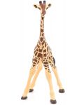 Figurina Papo Wild Animal Kingdom – Pui de girafa  - 4t