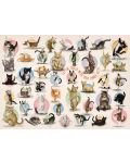 Puzzle Eurographics de 300 XXL piese - Yoga pentru pisici - 2t