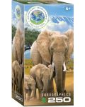 Eurographics Elephants - 1t