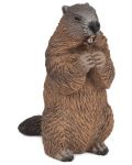 Figurina Papo Wild Animal Kingdom – Marmota - 1t