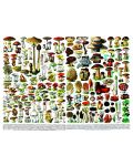 Puzzle New York Puzzle de 1000 piese - Mushrooms Champignons - 2t