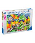 Puzzle Ravensburger de 1000 piese - Land of parrots - 1t
