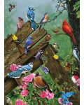 Puzzle Cobble Hill din 1000 piese - Păsări de pădure  - 2t