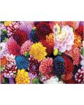 Puzzle Master Pieces de 550 piese - Beautiful Blooms - 2t