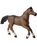 Figurina Papo Horses, foals and ponies – Cal anglo-arab - 1t