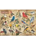 Cobble Hill Puzzle de 1000 de piese - Păsări din America de Nord - 2t