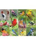 Puzzle Springbok de 500 piese - Birds of A Feather - 2t