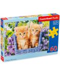Castorland Puzzle de 60 de piese - Baby Kittens  - 1t