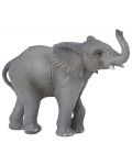 Figurina Papo Wild Animal Kingdom – Elefant mic - 1t