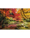 Puzzle Clementoni de 1500 piese -Autumn Park - 2t