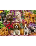 Puzzle Schmidt de 500 piese - Puppies on The Shelf - 2t