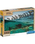 Puzzle  Clementoni din 1000 piese - Pinguinii Gento se îndreaptă spre mare - 1t