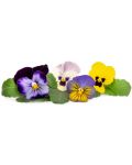 Umplutură sol Veritable - Lingot, Floricele multicolore, fără OMG - 2t