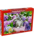 Puzzle de 1500 de piese Castorland - Pisicuță într-un coșuleț - 1t