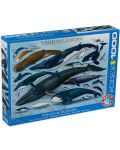 Puzzle Eurographics de 1000 piese – Balene si delfini - 1t