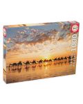 Puzzle Educa din 100 de piese - Sunset at Cable Beach - 1t