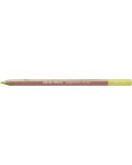 Creion pastel Caran d'Ache Pastel - Chinese green - 1t