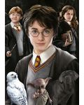 Puzzle Educa din 1000 de mini-piese - Harry Potter, miniatură - 2t