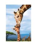 Puzzle Eurographics de 250 piese - Giraffes - 2t