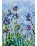 Puzzle Eurographics de 1000 piese – Irisi, Claude Monet - 2t