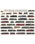 Puzzle Eurographics de 1000 piese – Locomotive cu abur - 2t