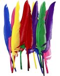Pene pentru decorare Compania Creativ - 6 culori, 48 de buc - 2t