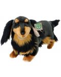 Jucărie de pluș Rappa Eco Friends - Dachshund Dog, în picioare, 36 cm - 1t
