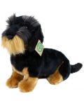 Jucărie de pluș Rappa Eco Friends - Dachshund Dog, așezat, 30 cm - 2t
