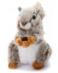 Jucării de ceai cu veveriță Teddy - Kiki, 21 cm, cu alune de pădure - 1t